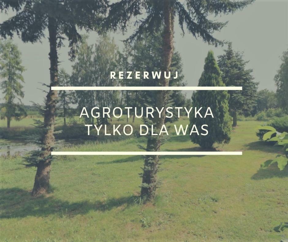 Dom Wakacyjny Z Ogromnym Ogrodem Witaszyn Εξωτερικό φωτογραφία